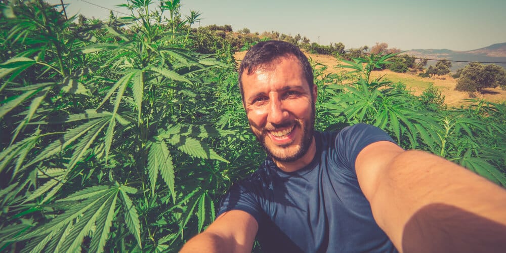 Cannabis Cultivation Basics