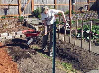 gardening-soil-amendments