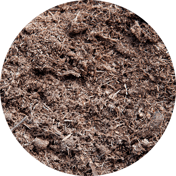 What Is Peat Moss? And Why You Should Skip It