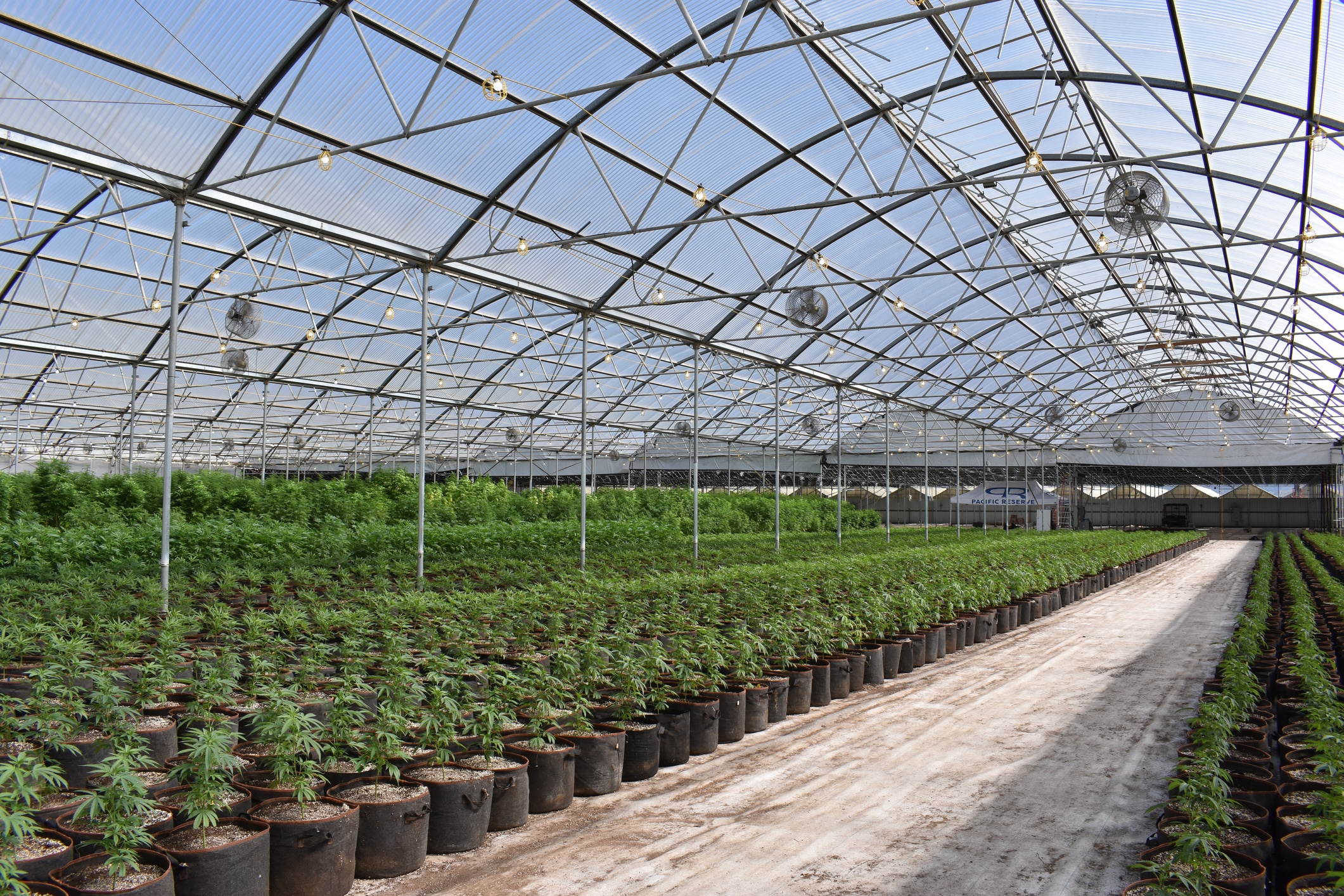 living soil for a commercial cannabis grow operation